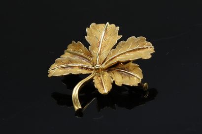 null 
Broche en or jaune 18k (750) "six feuilles de Chêne"




Poids. : 7.80 g.
