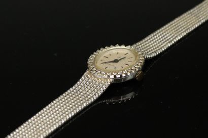 null ARIEL

Montre bracelet de dame en or blanc 18K (750), lunette pavée de petits...