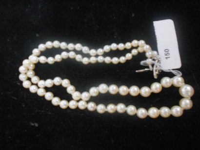 Petit collier de perles de culture blanches...