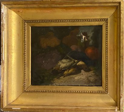 null Lot including:



F. VIOLA

nature with melon 

Oil on panel signed lower right...