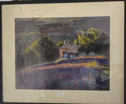 null A ROUSSEL

"Field of lavender"

Pastel on paper. 

Framed under glass.