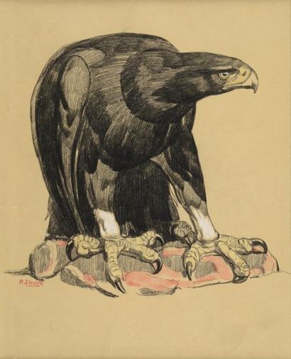 JOUVE Paul, 1878 -1972 L'aigle sur sa proie Crayon noir, aquarelle et rehauts de...