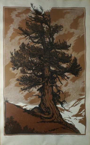 SCHMIED François Louis, 1873-1941 Le grand arbre Bois gravé en noir et brun, n°13/20...