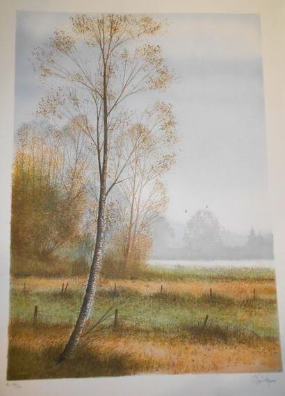 FIGUIER Gilles (XXe siècle) Paysages 2 lithographies, signées en bas à droite et...