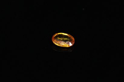 null Oval orange sapphire on paper. 

Weight : 0.50 ct. 



Dimensions : 6mm x 4...