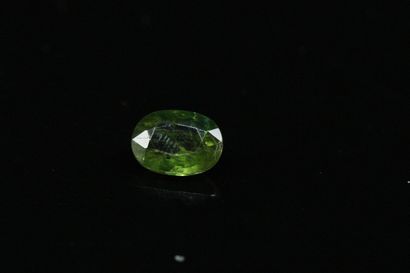 Green oval sapphire on paper. 

Weight :...