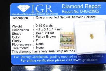 null Fancy Brown" round diamond under seal.

Accompanied by a report of the IGR attesting...