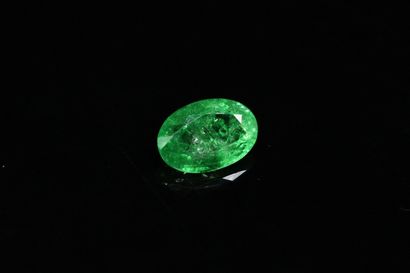 null Oval tsavorite garnet on paper. 

Weight : 1.07 ct. 



Dimensions : 7.6mm x...