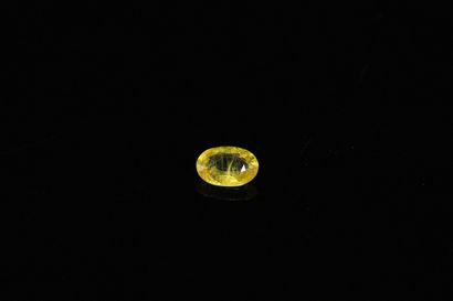 null Oval yellow sapphire on paper. 

Weight : 0.83 ct. 



Dimensions : 6.7mm x...