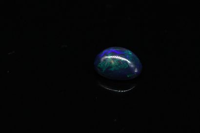 null Black cabochon opal on paper. 

Weight : 2.65 cts.