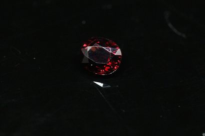 null Oval red spine on paper. 

Beautiful clarity. 

Weight : 1.49 ct.