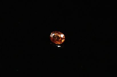 null Sapphire probably Padparadscha oval on paper. 

Weight : 0.45 ct. 



Dimensions...