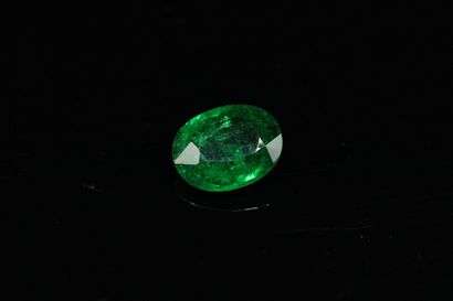 null Oval tsavorite garnet on paper. 

Weight : 2.77 cts



Dimensions : 10.1mm x...