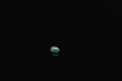 null Black oval opal on paper. 

Weight : 0.96 ct.