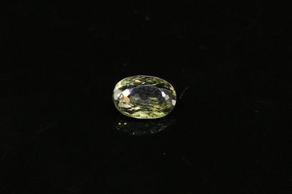 null Oval tourmaline on paper. 

Weight : 1.83 ct. 



Dimensions : 8.8mm x 6.2m...