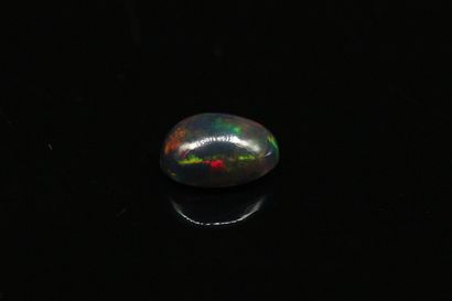 null Black cabochon opal on paper. 

Weight 2.89 cts.