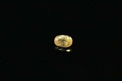 null Oval yellow sapphire on paper.

Weight : 1.21 ct. 



Dimensions : 7.5mm x ...