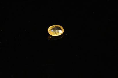 null Oval yellow sapphire on paper. 

Weight : 0.96 ct. 



Dimensions : 7mm x 5...