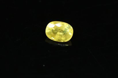 null Oval yellow sapphire on paper. 

Slight blue color-zoning in the center. 

Probably...
