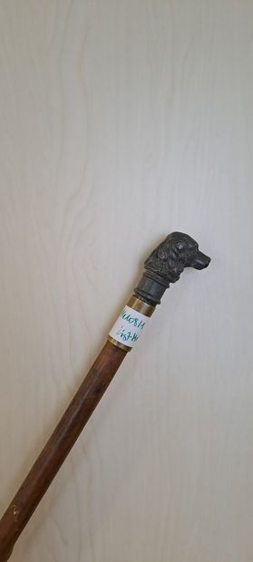 null Wooden sword cane, the handle showing a spaniel's head in alloy. Blade with...