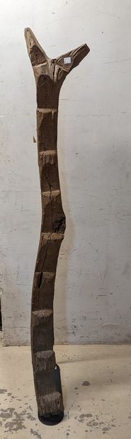 null Burkina Fasso						
Echelle Lobi 
H. 186 cm