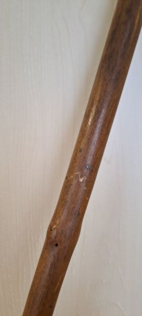 null Wooden sword cane, the handle showing a spaniel's head in alloy. Blade with...