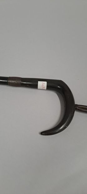null Rifle cane with removable stock