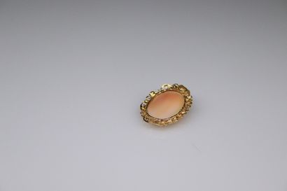 null Pendant in 18k (750) yellow gold with a shell cameo. 
Gross weight : 7.01 g...