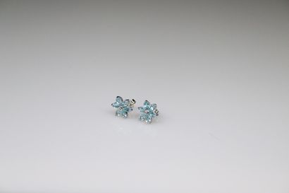 null Pair of 925° silver ear studs with flowers, the petals made of topaz. 

Gross...