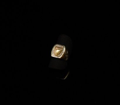 null Chevalière in 18k (750) yellow gold.
Finger size : 49 - Weight : 12.1 g.