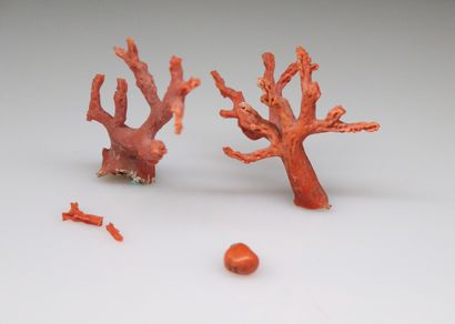 null Lot of coral including two branches and a small cabochon.
Weight : 16.8 g.