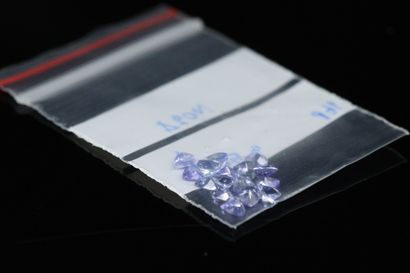 null Mixed tanzanite trillion on paper. 
Total weight : 3.51 cts.