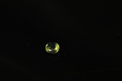 null Rare bicolored yellow and blue sapphire on paper. 
Weight : 2.06 cts.