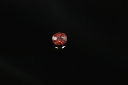 null Saphir ovale probablement Padparadscha vif sur papier. 
Poids : 2.55 cts.