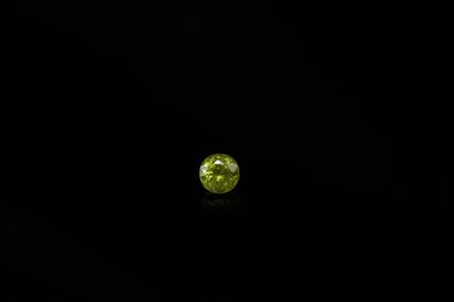 null Round green sphene on paper. 
Weight : 1.20 ct. 

Diameter : 6mm