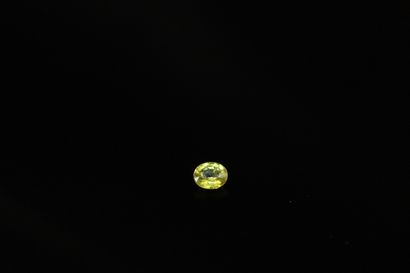 null Green yellow oval sapphire on paper. 
Weight : 0.69 ct. 

Dimensions : 5.6mm...