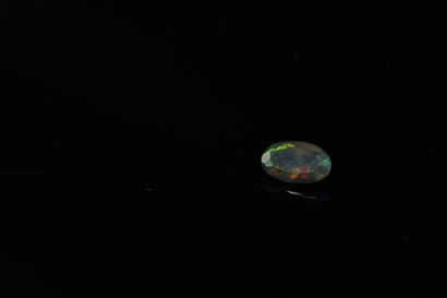null Black oval faceted opal on paper. 
Weight : 1.28 ct.