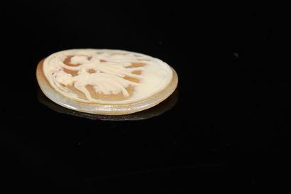 null Cameo shell with three dancing women.

Height : 3.5 cm
