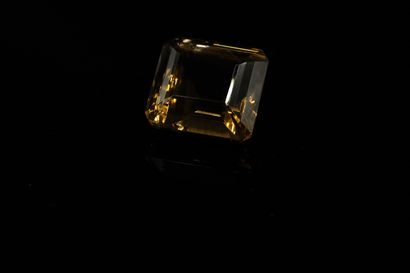 null Important smoked quartz with cut sides on paper. 
Weight : 30.88 cts. 

Dimensions...