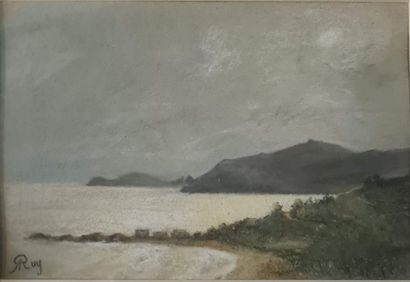 null RUY Alphonse (1853-1920)
pointe de Saint Claude (?) et le Cap Bénat, 1904
pastel...
