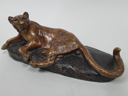 null MASSON Clovis Edmond, 1838-1913,
Panthère sur son rocher,
bronze à patine brun...