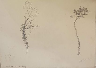 null GOULINAT Jean Gabriel (1883-1972)
Paysage (3) - étude de roches - étude d'arbre...