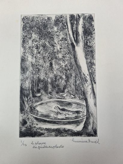 null HERMINE David (1886-1970)
Le phoque du Jardin des Plantes
eau forte, signée...
