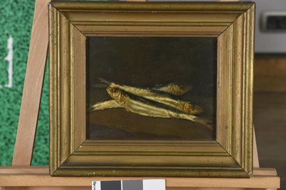 null AMEN, END of 19th century,
3 sardines,
oil on canvas, signed lower left, 
22x27...