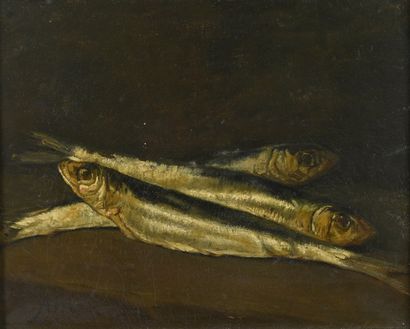 null AMEN, END of 19th century,
3 sardines,
oil on canvas, signed lower left, 
22x27...