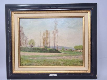 null BONNARDEL Alexandre -François (1867-1942)
Paysage aux arbres
Huile sur carton,...