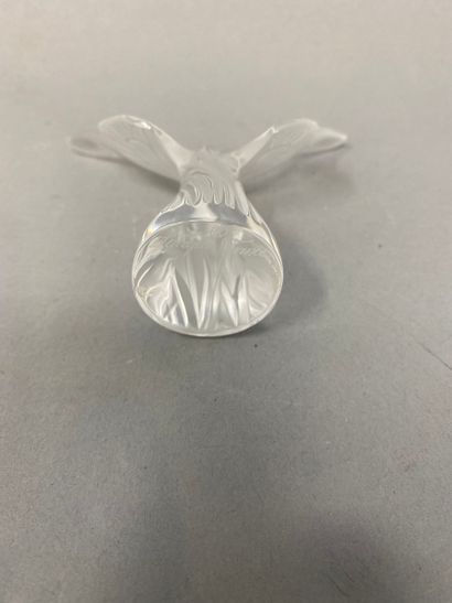 null LALIQUE FRANCE, glass butterfly 
Signed under the base 
8 x 9 cm
Chipped wing...