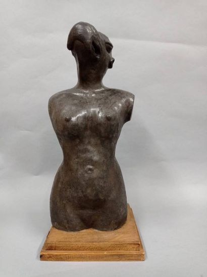 ECOLE MODERNE ECOLE MODERNE 
Buste de femme à tête d'animal
sculpture en pierre reconstituée...