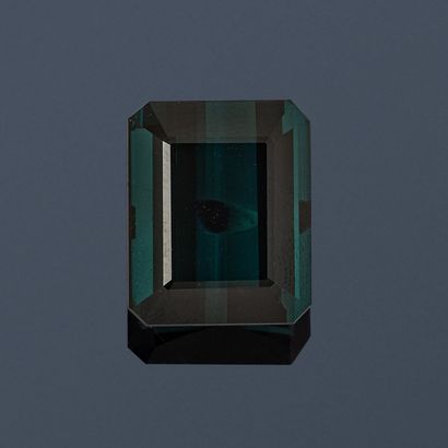 null Important tourmaline indicolite with cut sides on paper.


Accompanied by an...