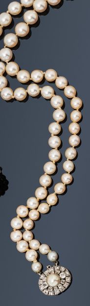 null Ecrin de Madame Z, Grèce.
Collier de deux rangs de perles de culture en chute,...